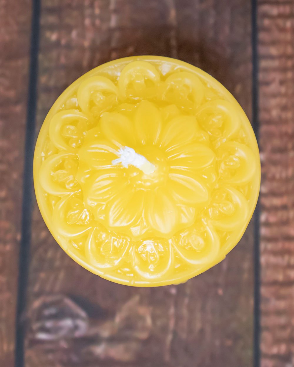 Hummingbird Candle with Daisy Top