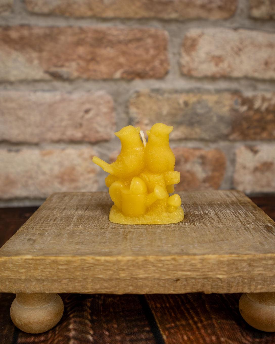 Cardinal Lovebirds Mold