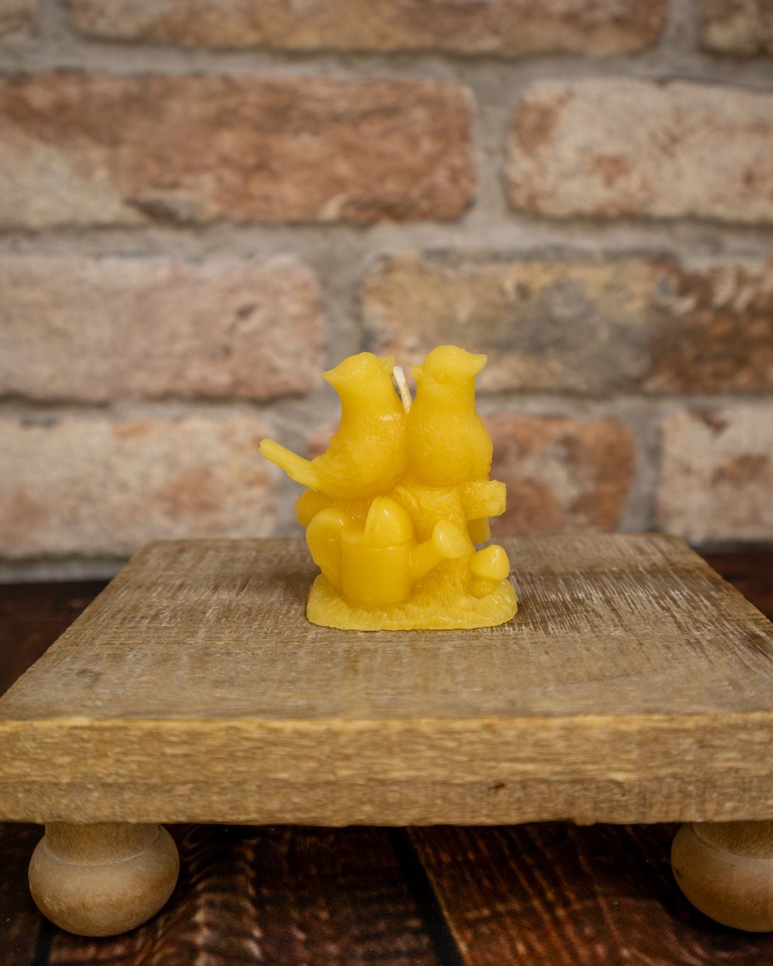 Cardinal Lovebirds Mold