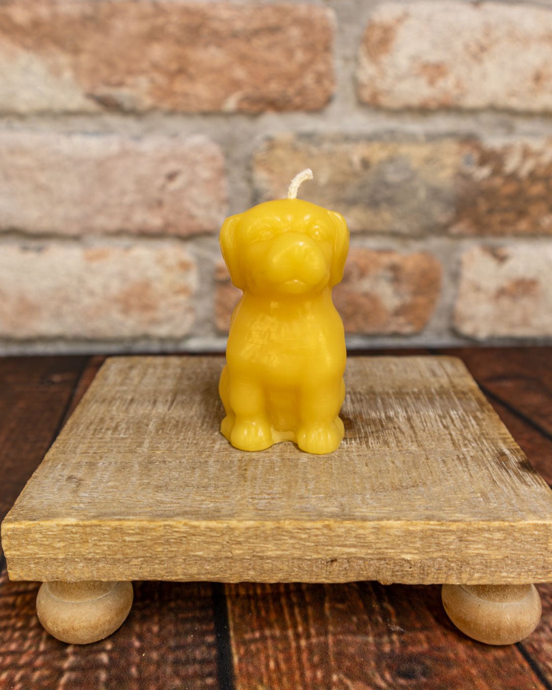 Beeswax candle shaped like a dog on a wooden stand with a stone wall background