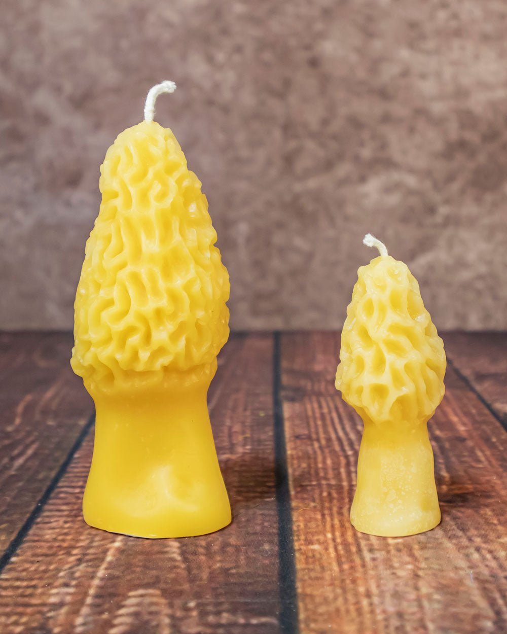 Large and small Morel