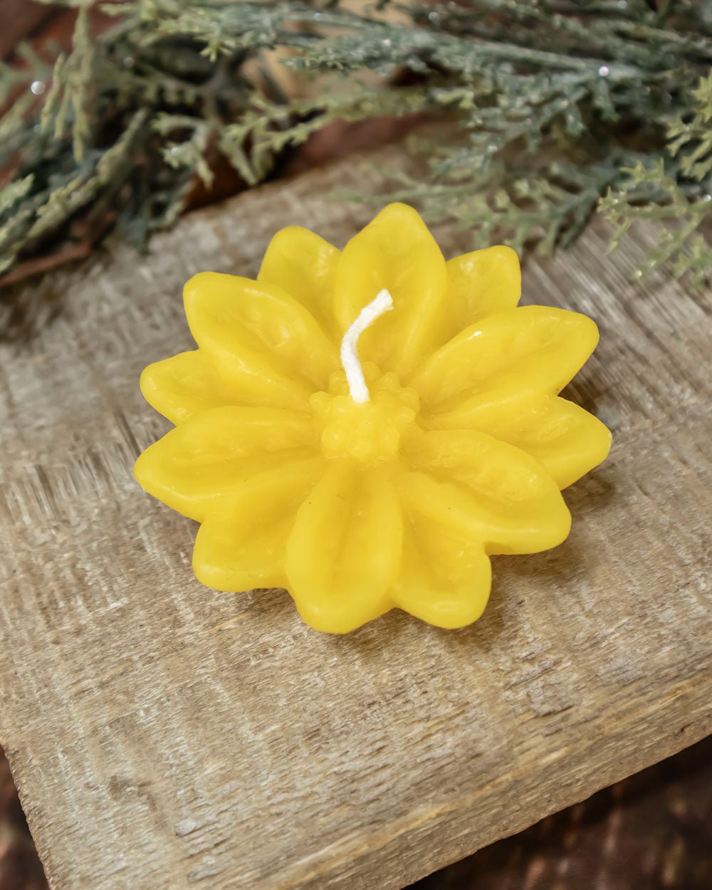 Poinsettia Floating Candles