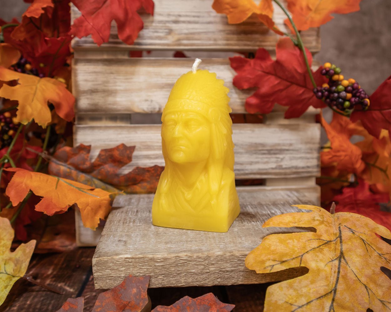 Native American Chief