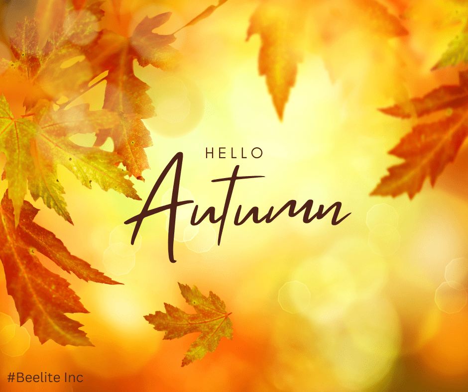  Happy Thanksgiving Everyone! 