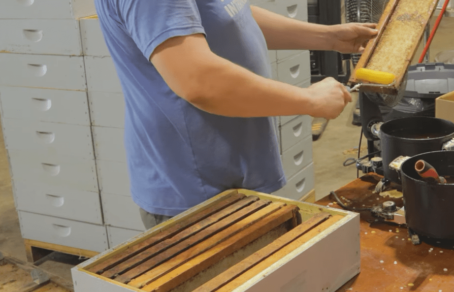 How to Wax Foundation