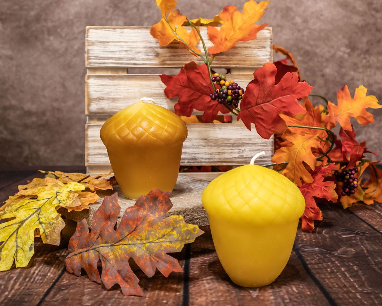 Beeswax Acorns