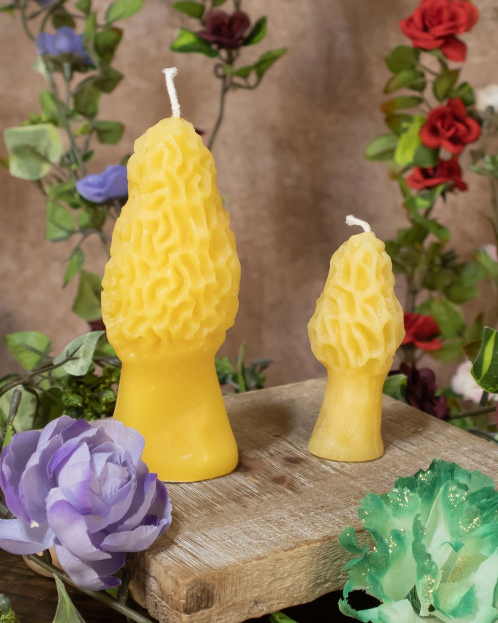 Morels with a flower scene