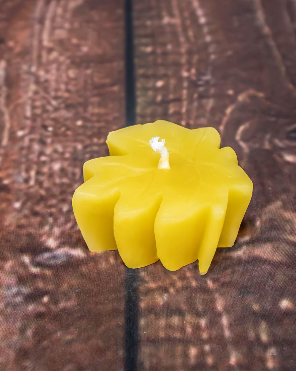 Small Maple Leaf Floater Set of 3