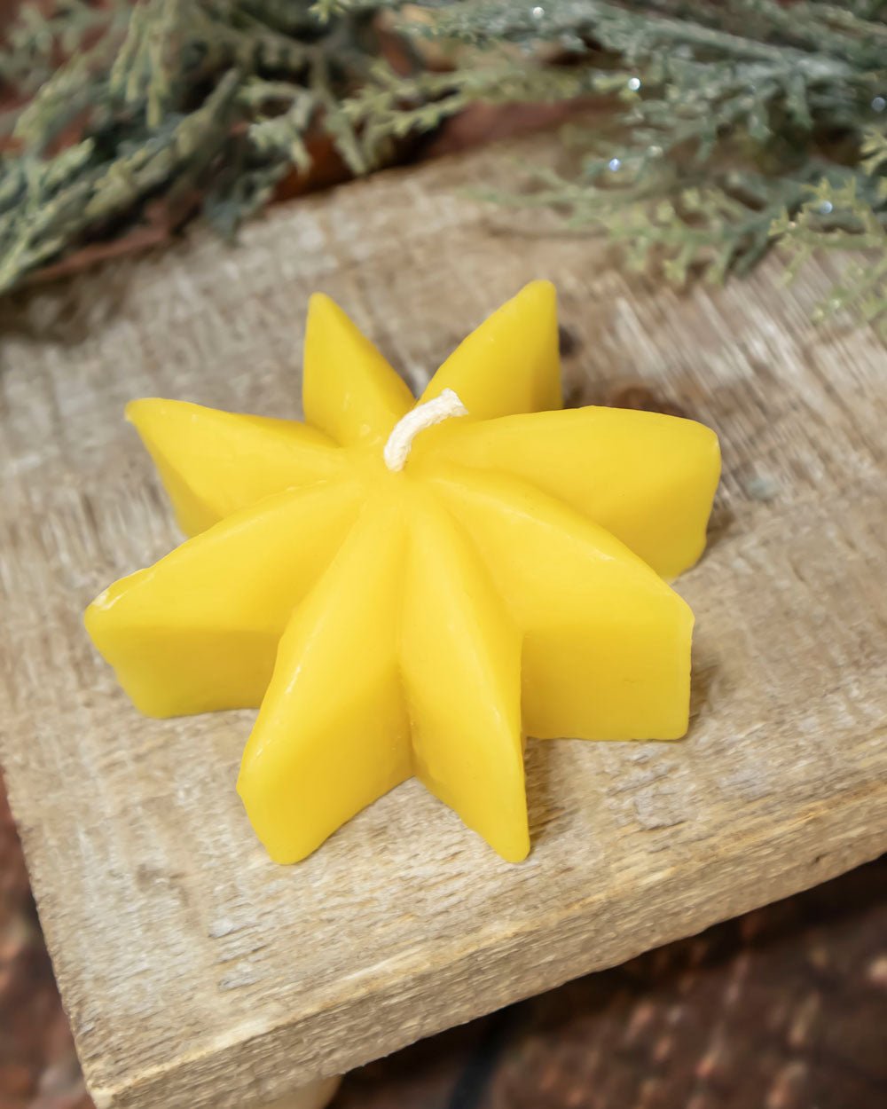 Beeswax Star Shaped Floater Candle