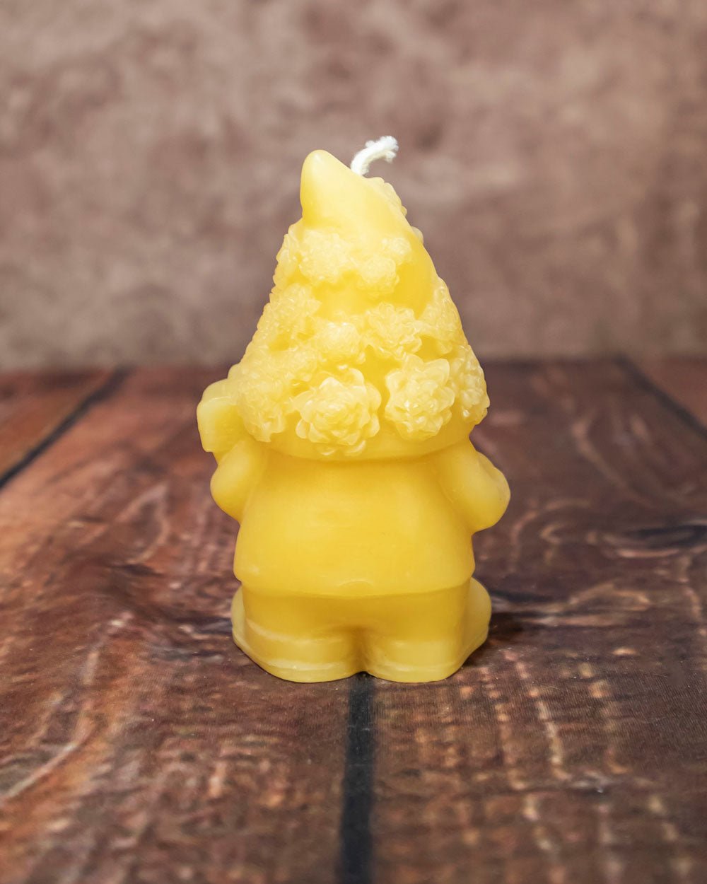 Succulent Gnome Back