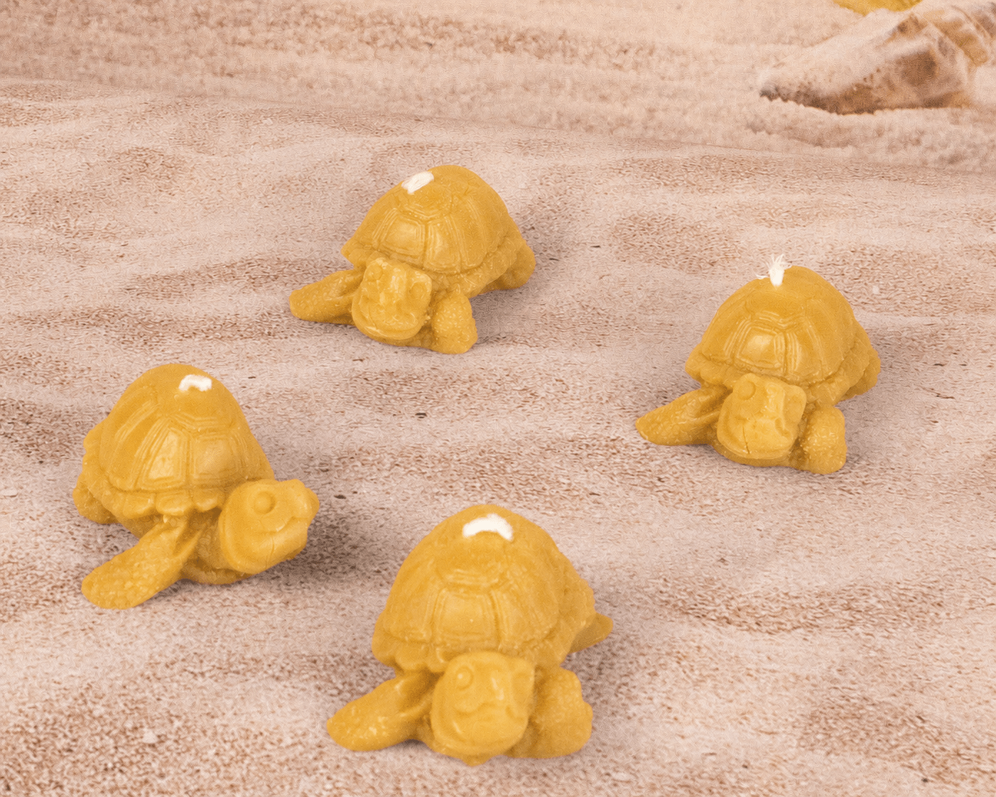 Tortoise Beeswax Candles