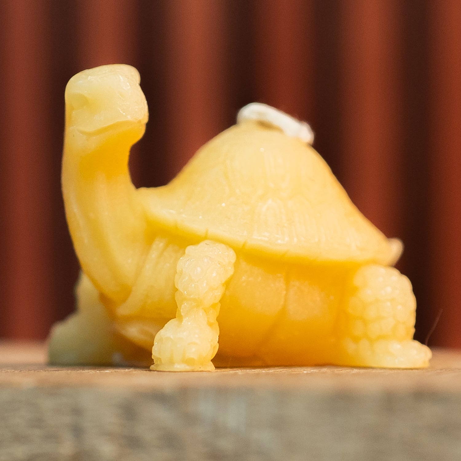 Long-necked Turtle Mold