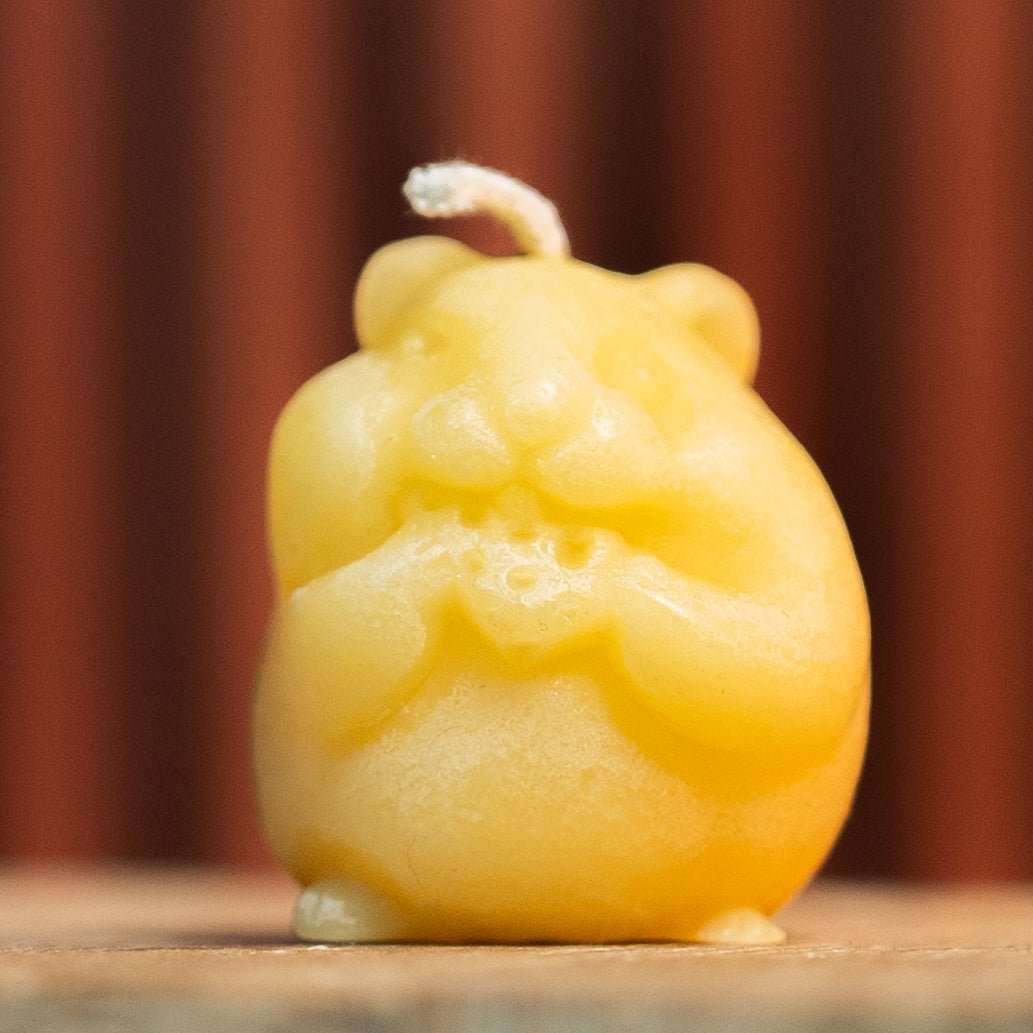 Hamster eating cheese